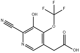 2-Cyano-3-hydroxy-4-(trifluoromethoxy)pyridine-5-acetic acid,1806204-22-7,结构式