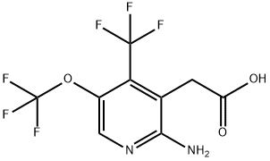 2-Amino-5-(trifluoromethoxy)-4-(trifluoromethyl)pyridine-3-acetic acid 结构式