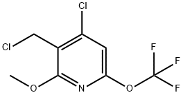 4-Chloro-3-(chloromethyl)-2-methoxy-6-(trifluoromethoxy)pyridine 结构式