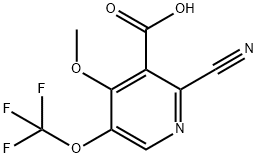 2-Cyano-4-methoxy-5-(trifluoromethoxy)pyridine-3-carboxylic acid Structure
