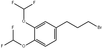 3,4-Bis(difluoromethoxy)(3-bromopropyl)benzene,1806534-81-5,结构式