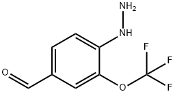4-Hydrazinyl-3-(trifluoromethoxy)benzaldehyde 结构式