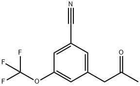 3-(2-Oxopropyl)-5-(trifluoromethoxy)benzonitrile 结构式