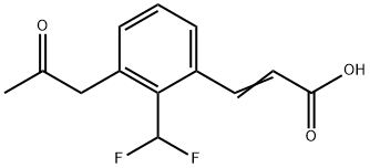 2-(Difluoromethyl)-3-(2-oxopropyl)cinnamic acid 结构式
