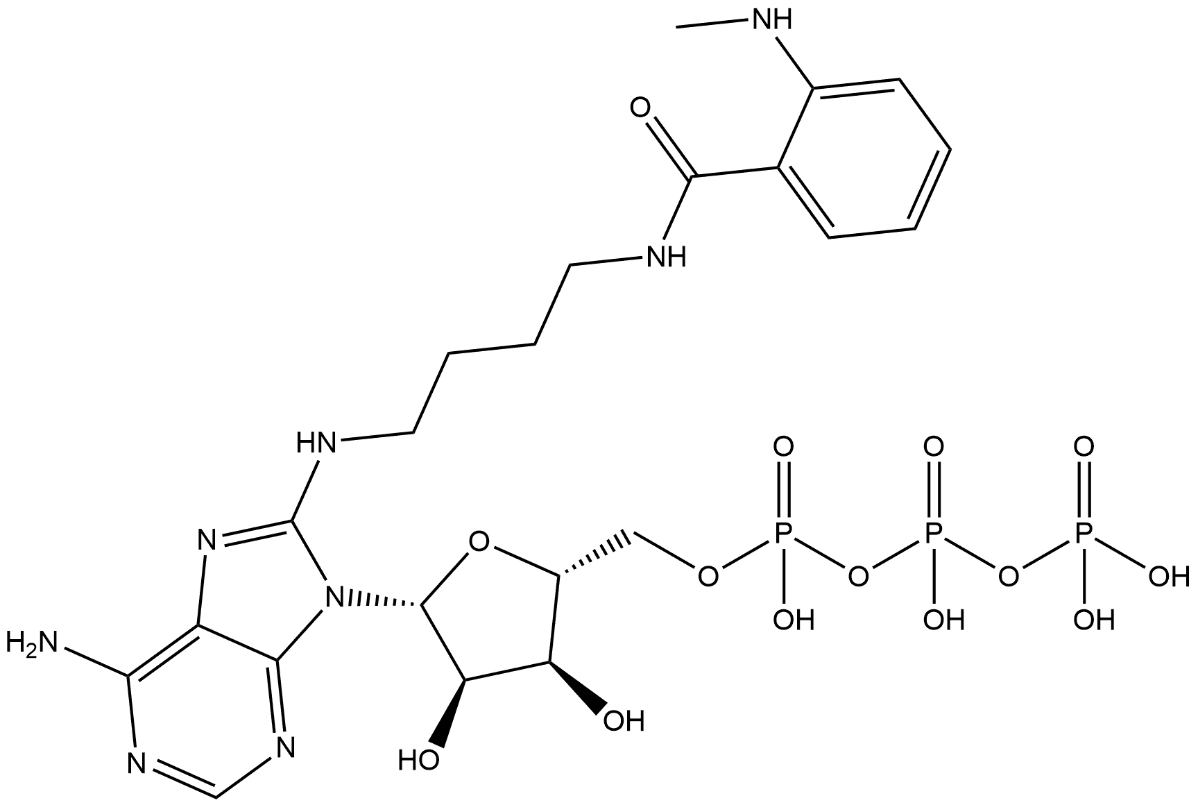 8-[(4-Amino)butyl]-amino-ATP - MANT Structure