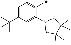 Phenol, 4-(1,1-dimethylethyl)-2-(4,4,5,5-tetramethyl-1,3,2-dioxaborolan-2-yl)- Struktur