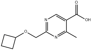 5-Pyrimidinecarboxylic acid, 2-[(cyclobutyloxy)methyl]-4-methyl-|