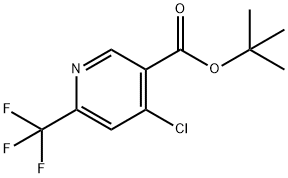 4-氯-6-(三氟甲基)烟酸叔丁酯,2206752-25-0,结构式