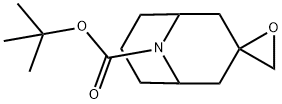 tert-butyl 9-azaspiro[bicyclo[3.3.1]nonane-3,2''-oxirane]-9-carboxylate 结构式