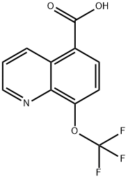 8-(三氟甲氧基)喹啉-5-羧酸 结构式