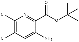 2-Pyridinecarboxylic acid, 3-amino-5,6-dichloro-, 1,1-dimethylethyl ester Structure
