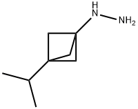 Hydrazine, [3-(1-methylethyl)bicyclo[1.1.1]pent-1-yl]- Structure
