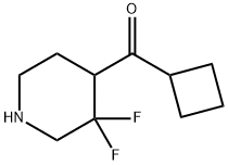 Methanone, cyclobutyl(3,3-difluoro-4-piperidinyl)- 结构式