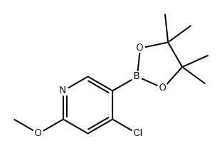 4-氯-2-甲氧基-5-(4,4,5,5-四甲基-1,3,2-二氧杂硼酸-2-基)吡啶, 2369772-11-0, 结构式