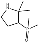 Pyrrolidine, 3-(dimethylphosphinyl)-2,2-dimethyl- Struktur