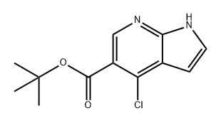 1H-Pyrrolo[2,3-b]pyridine-5-carboxylic acid, 4-chloro-, 1,1-dimethylethyl ester Struktur