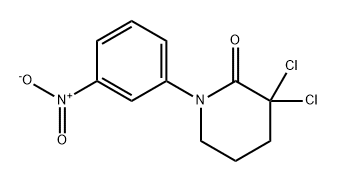 3,3-二氯-1-(3-硝基苯基)哌啶-2-酮, 2444010-14-2, 结构式