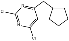 2,4-二氯-4B,5,6,7,7A,8-六氢环戊二烯并[2,1-D]嘧啶 结构式