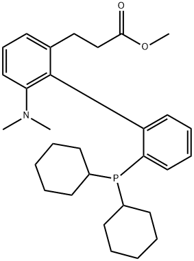 methyl (S)-3-(2'-(dicyclohexylphosphanyl)-6-(dimethylamino)-[1,1'-biphenyl]-2-yl)propanoate 结构式