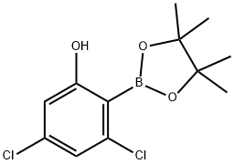 Phenol, 3,5-dichloro-2-(4,4,5,5-tetramethyl-1,3,2-dioxaborolan-2-yl)- Structure