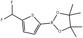 1,3,2-Dioxaborolane, 2-[5-(difluoromethyl)-2-thienyl]-4,4,5,5-tetramethyl- Structure