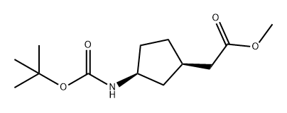 Cyclopentaneacetic acid, 3-[[(1,1-dimethylethoxy)carbonyl]amino]-, methyl ester, (1R,3S)- 结构式