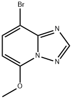 8-溴-5-甲氧基-[1,2,4]三唑并[1,5-A]吡啶, 2609037-46-7, 结构式