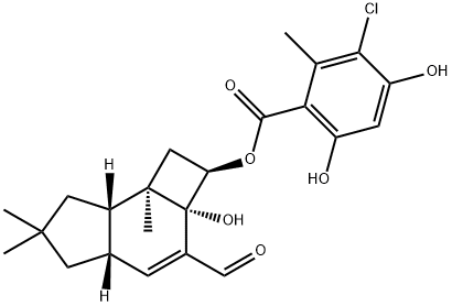 メレオリドK 化学構造式