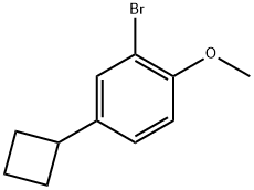 2-Bromo-4-cyclobutyl-1-methoxybenzene Structure
