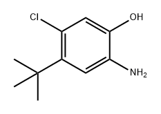 2-氨基-4-(叔丁基)-5-氯苯酚 结构式