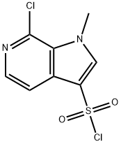 7-氯-1-甲基-1H-吡咯并[2,3-C]吡啶-3-磺酰氯,2694732-45-9,结构式