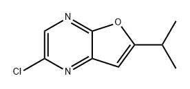 Furo[2,3-b]pyrazine, 2-chloro-6-(1-methylethyl)- Struktur