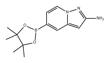 5-(4,4,5,5-四甲基-1,3,2-二氧硼杂环戊烷-2-基)吡唑并[1,5-A]吡啶-2-胺, 2810048-41-8, 结构式