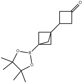 2826263-65-2 3-(3-(4,4,5,5-四甲基-1,3,2-二氧杂硼烷-2-基)双环[1.1.1]戊-1-基)环丁-1-酮