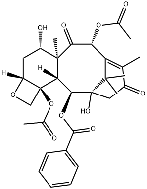 13-Oxobaccatin III Structure