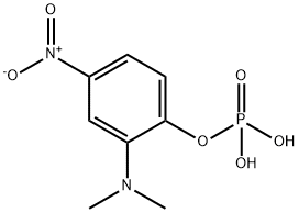 Phenol, 2-(dimethylamino)-4-nitro-, dihydrogen phosphate (ester) (9CI) 结构式