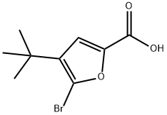 2-Furancarboxylic acid, 5-bromo-4-(1,1-dimethylethyl)-