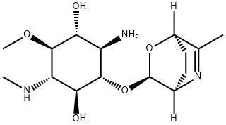 1-アミノ-1,4-ジデオキシ-5-O-メチル-4-(メチルアミノ)-2-O-[(1R,4R)-6-メチル-2-オキサ-5-アザビシクロ[2.2.2]オクタ-5-エン-3α-イル]-D-scyllo-イノシトール 化学構造式