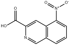 5-nitroisoquinoline-3-carboxylic acid 结构式