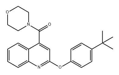 (2-(4-(叔丁基)苯氧基)喹啉-4-基)(吗啉)甲酮, 869872-50-4, 结构式