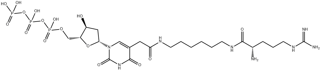 5-[2-[[6-[[(2S)-2-Amino-5-[(aminoiminomethyl)amino]-1-oxopentyl]amino]hexyl]amino]-2-oxoethyl]-2'-deoxyuridine 5'-(tetrahydrogen triphosphate) 化学構造式