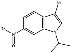 1H-Indole, 3-bromo-1-(1-methylethyl)-6-nitro- Structure