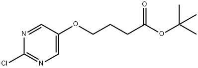 Butanoic acid, 4-[(2-chloro-5-pyrimidinyl)oxy]-, 1,1-dimethylethyl ester|丁酸,4-[(2-氯-5-嘧啶基)氧基]-,1,1-二甲基乙酯