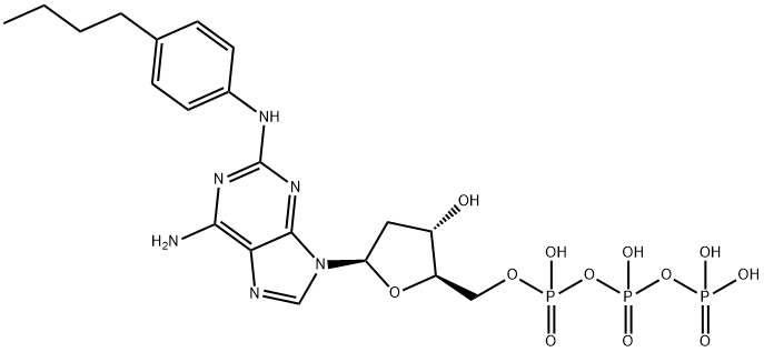 4-n-butylanilino dATP|