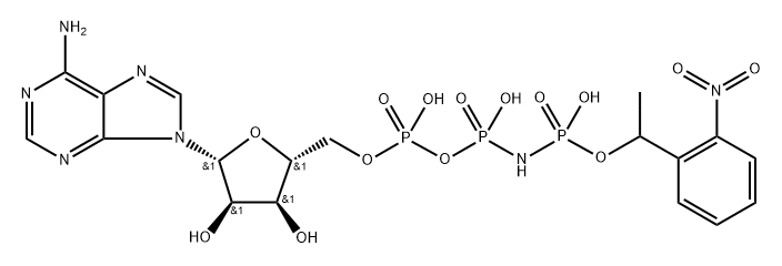 NPE-caged-AppNHp
 Structure