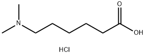 6-(dimethylamino)hexanoic acid 结构式