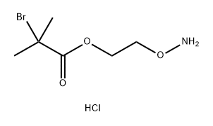 2-(aminooxy)ethyl 2-bromo-2-methylpropanoate hydrochloride(ABM) 结构式