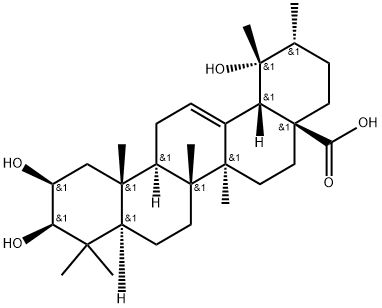 2-Epitormentic acid