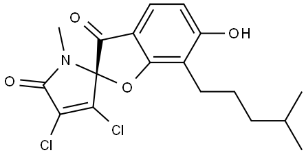 Spiro[benzofuran-2(3H),2'-[2H]pyrrole]-3,5'(1'H)-dione, 3',4'-dichloro-6-hydroxy-1'-methyl-7-(4-methylpentyl)-, (2R)- Structure