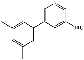 5-(3,5-Dimethylphenyl)-3-pyridinamine 结构式